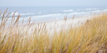 Traumhafter Ostsee-Urlaub – die besten Tipps