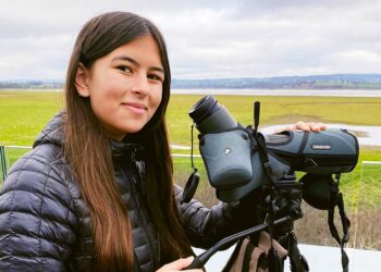 Ronnie Galboa – Meerespesto