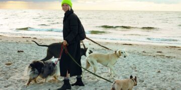 Now or never: die richtige Jacke von C&A