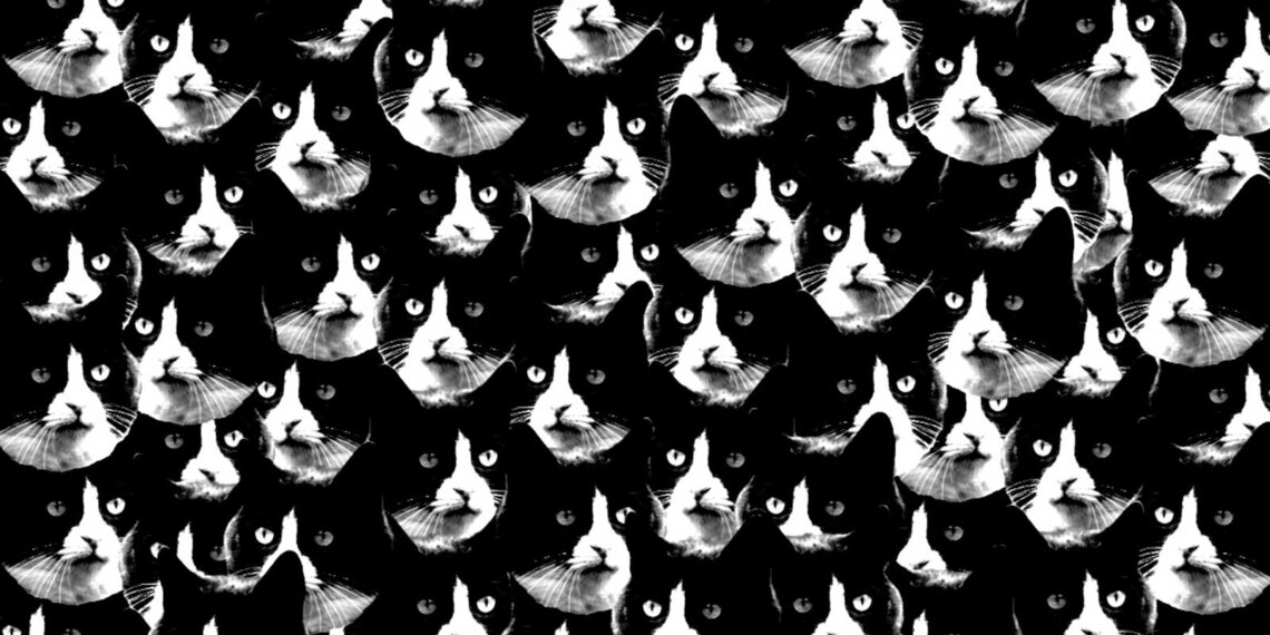 Dating Storys: Folge 1