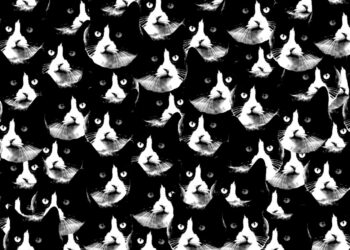 Dating Storys: Folge 1