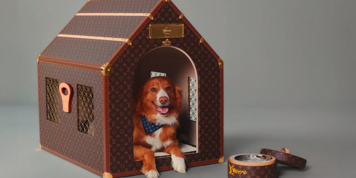 Who Let the Dogs Out: High-Fashion für Hunde