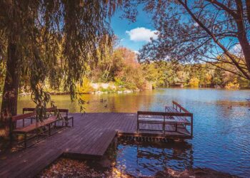 Soul of Wien-Autoren im Interview