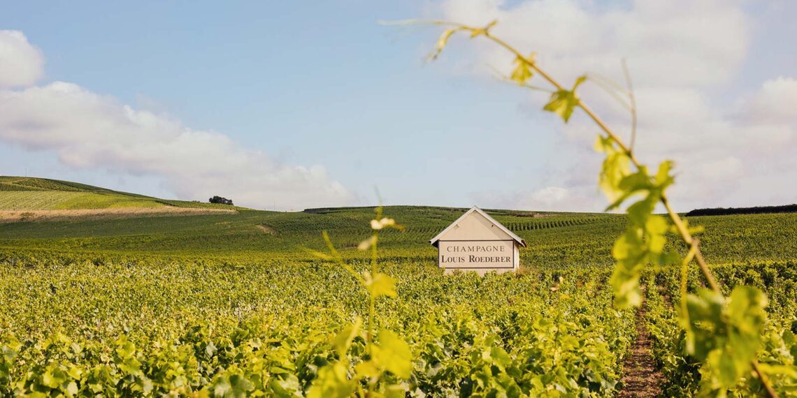 Cheers! Louis Roederer feiert 250 Jahre